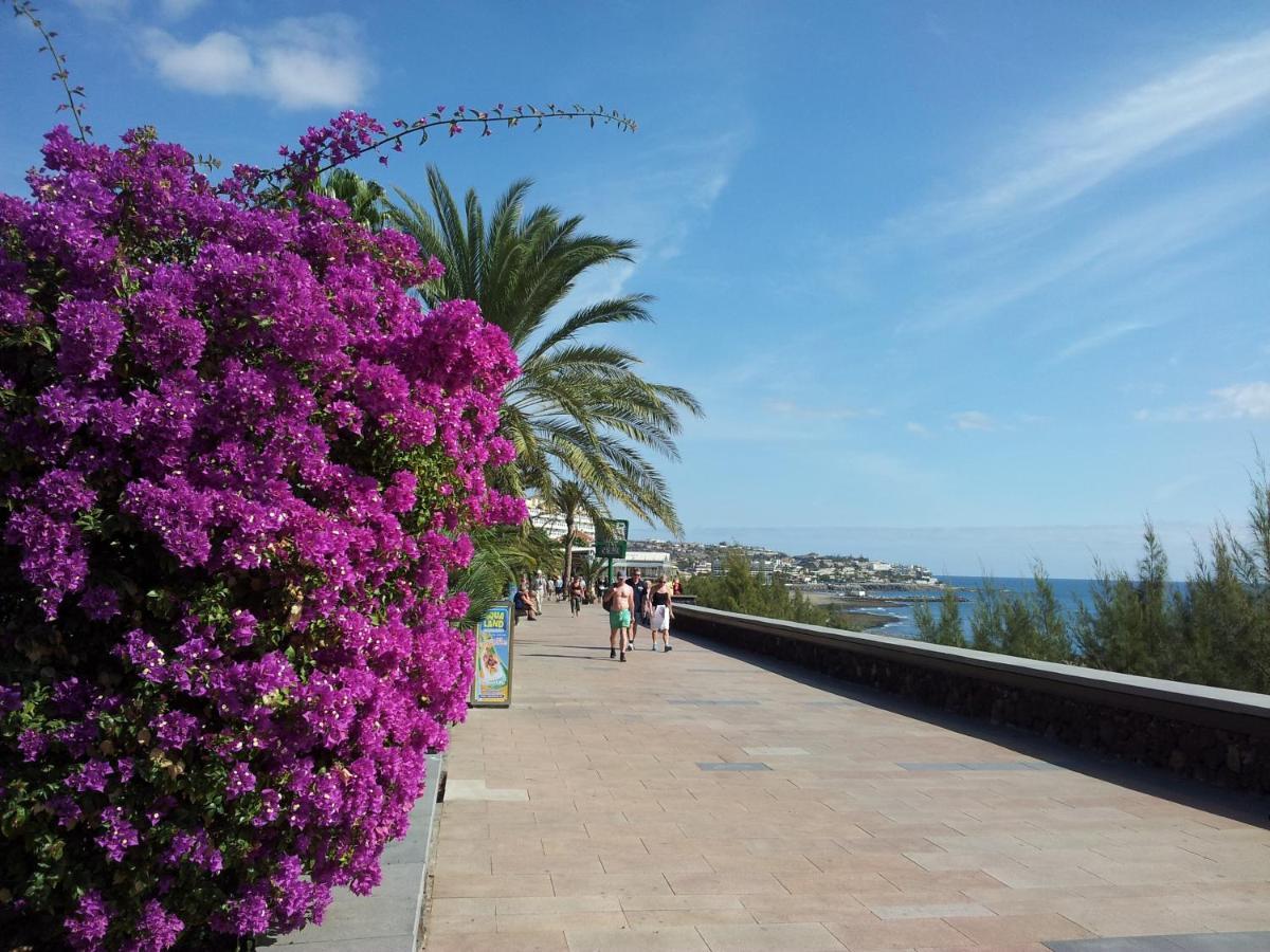 Apartamentos Horizonte Playa del Inglés Eksteriør billede