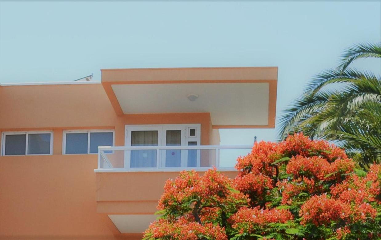 Apartamentos Horizonte Playa del Inglés Værelse billede